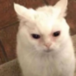 Profiilikuva käyttäjälle KushAlien