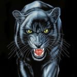 Profiilikuva käyttäjälle Jamppa