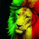 Profiilikuva käyttäjälle seppo420