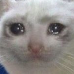 Profiilikuva käyttäjälle Nexli